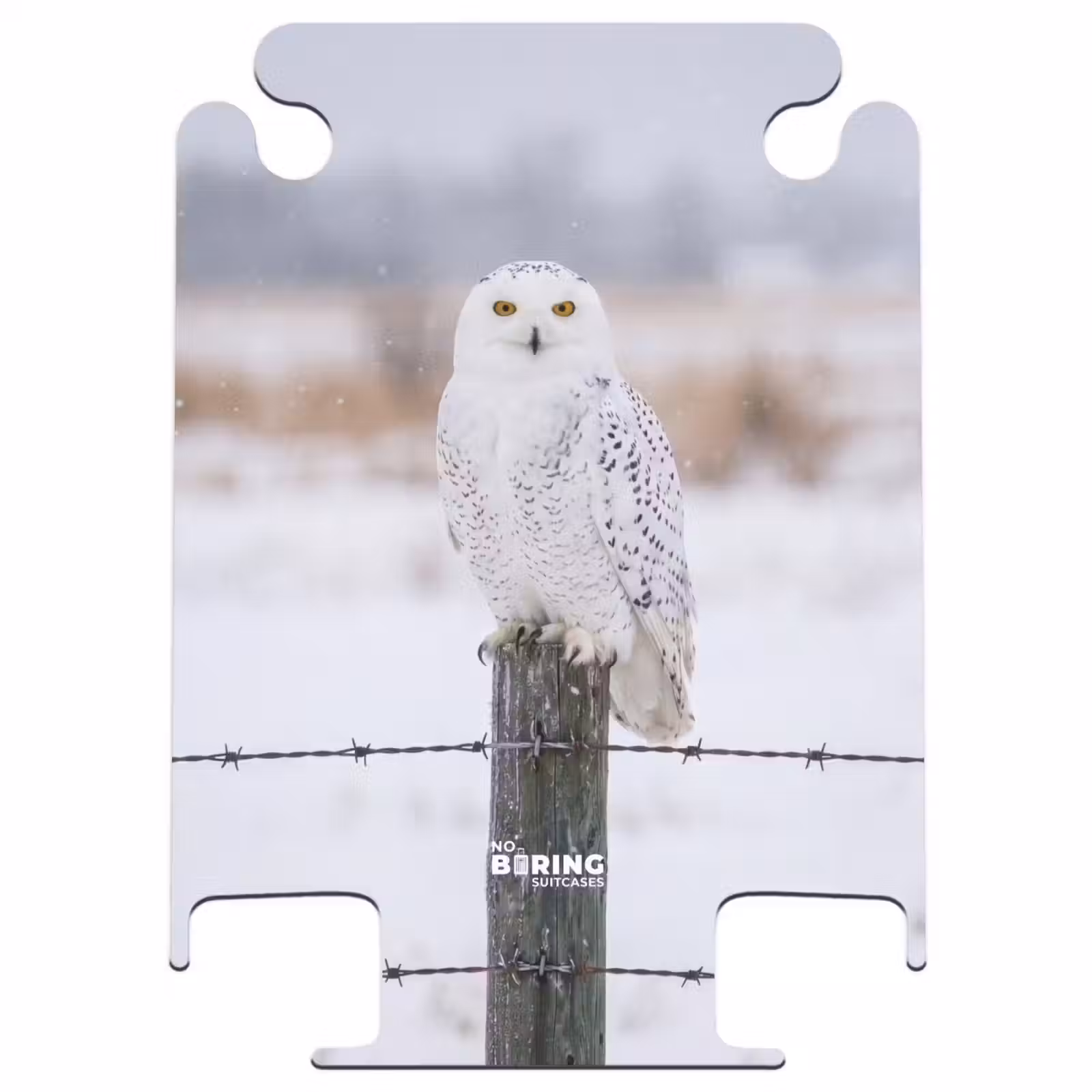 CaseSwap™ - Sneeuwuil - Hek - Sneeuw - Wit — 1