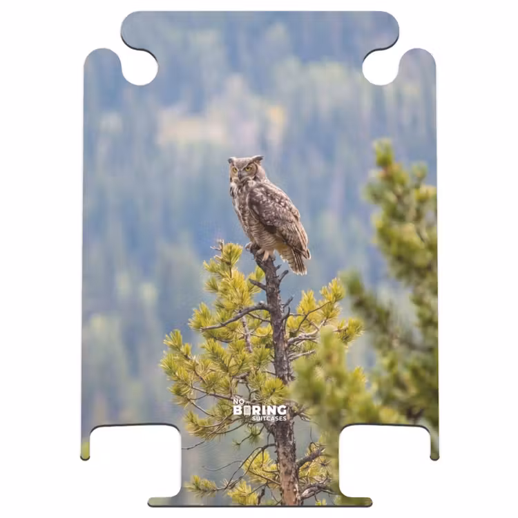 CaseSwap - Uil - Oehoe - Bomen - Natuur — 1