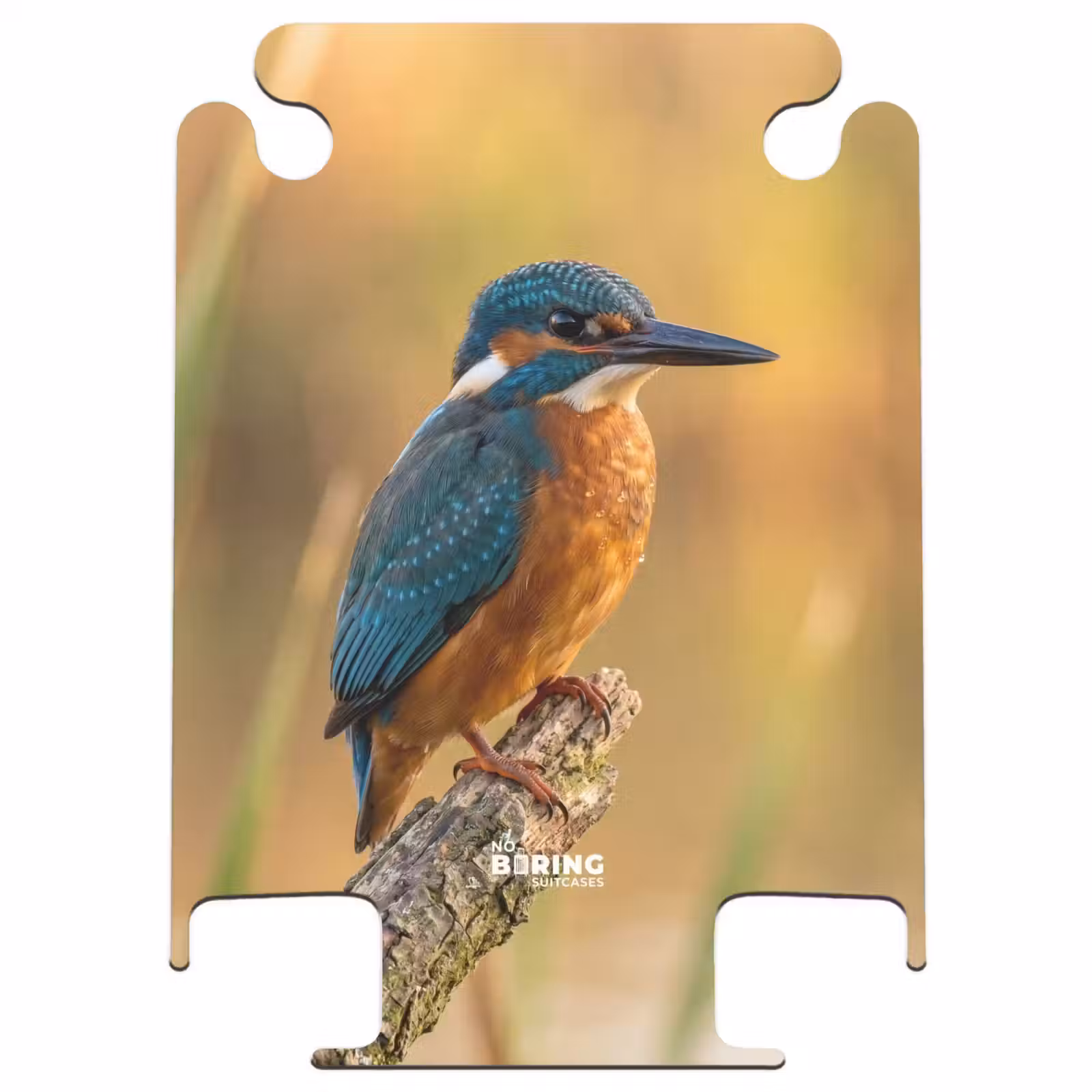 CaseSwap™ - IJsvogel - Tak - Water - Kleurrijk - Levendig — 1