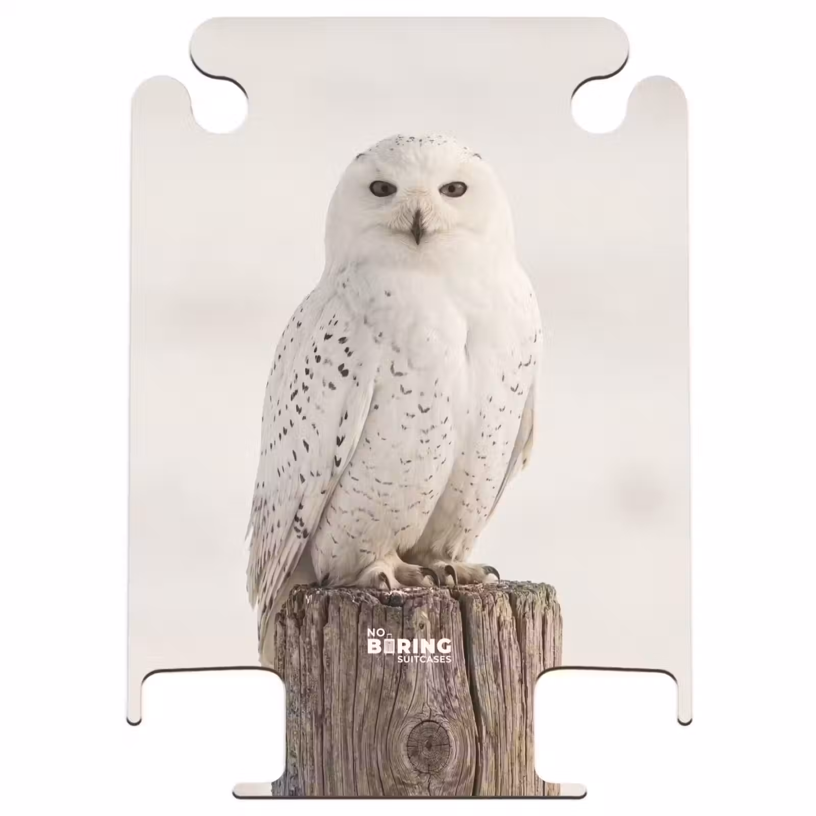 CaseSwap™ - Sneeuwuil - Paal - Winter - Portret - Majestueus — 1