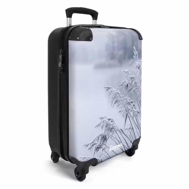 CaseSwap - Riet - Bevroren - Winter - Natuur — 2