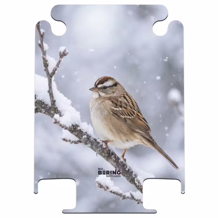 CaseSwap™ - Vogel - Tak - Sneeuw - Winter — 1