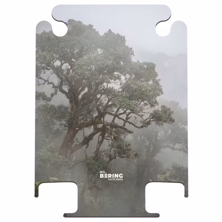 CaseSwap - Boom - Mistig - Bos - Groen - Natuur — 1