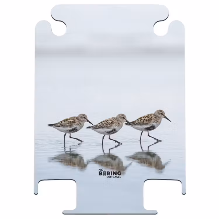 CaseSwap™ - Vogels - Water - Grijs — 1