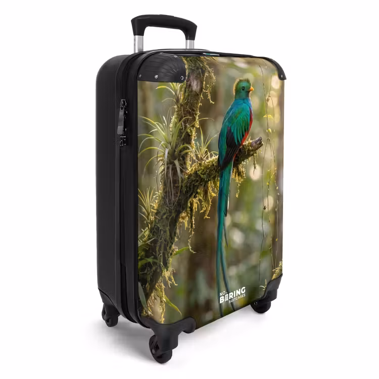 CaseSwap™ - Quetzal - Jungle - Natuur - Groen — 2