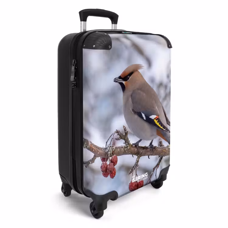 CaseSwap™ - Pestvogel - Bessen - Winter - Natuur — 2