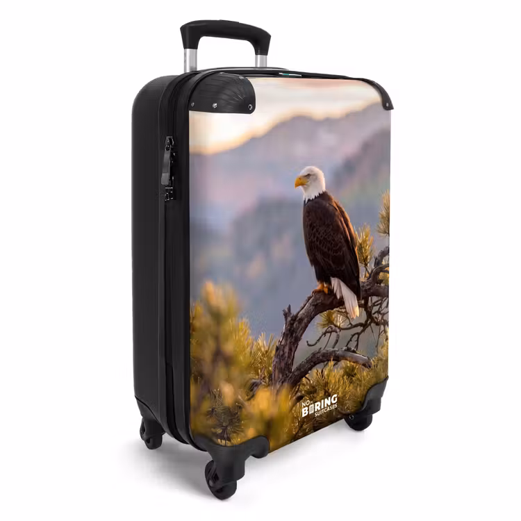 CaseSwap™ - Zeearend - Boom - Bergen - Groen — 2